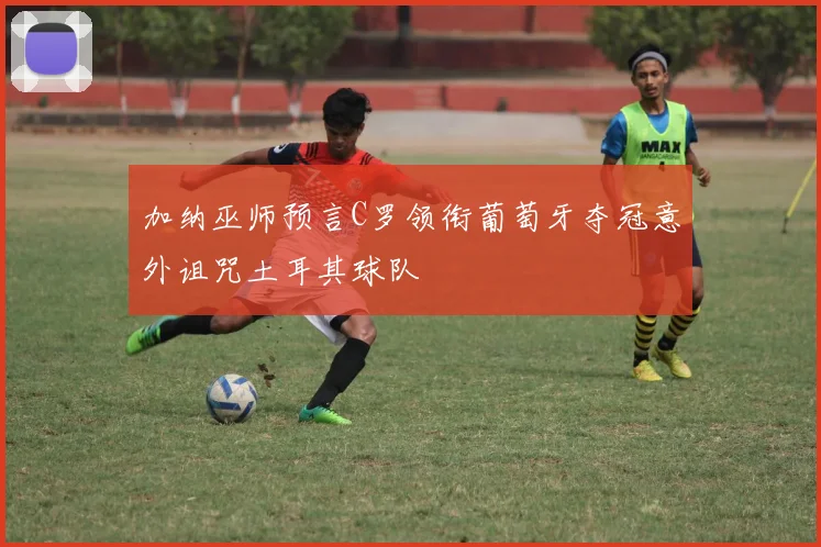 加纳巫师预言C罗领衔葡萄牙夺冠意外诅咒土耳其球队